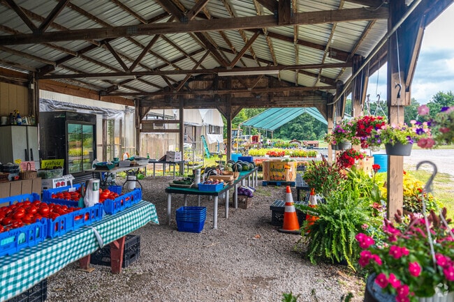 Pick up some fresh flowers or vegetables at Fairfield Farms and Greenhouses.