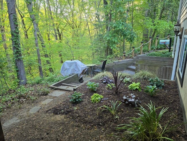 View of Surrounding Woods - 2000 Huntwood Dr