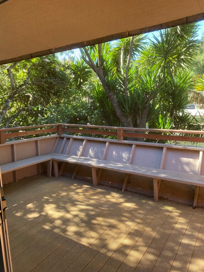 Huge deck - 407 Maple St