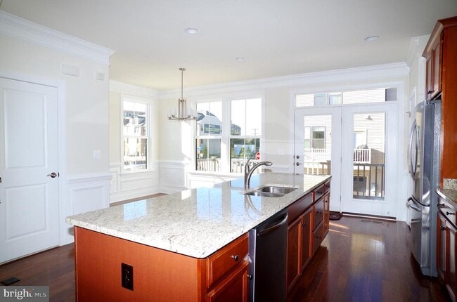 Building Photo - 3755 Signal Knob Ct