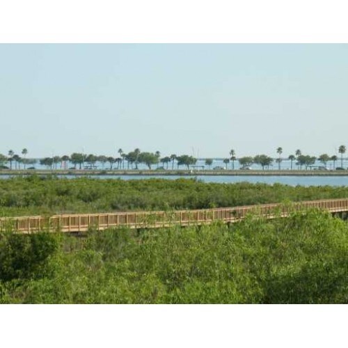 Building Photo - 4343 Bayside Village Dr