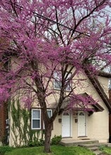 Building Photo - 3260 Berwyn Pl