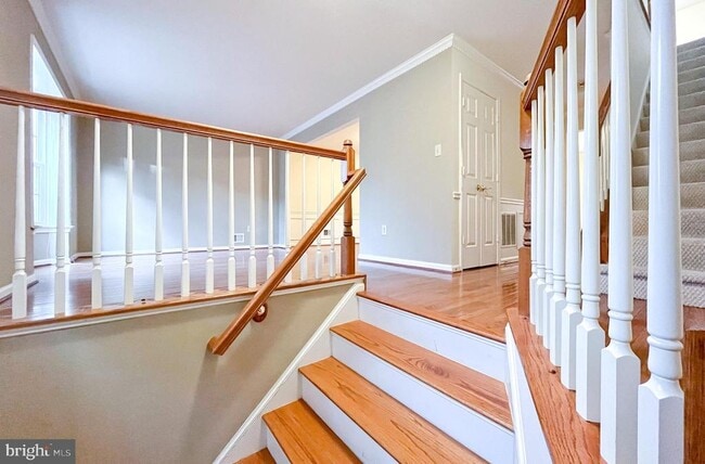 Building Photo - 2058 Pieris Ct