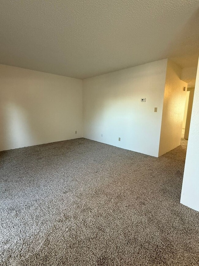 Building Photo - 1553 Delucchi Ln