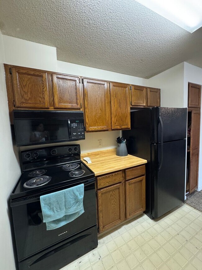 Foto del edificio - No Monthly Pet Rent! NW Rochester Mn Condo 2 bedroom, 1.5 bathrooms, Cats Welcome! No dogs. This ...