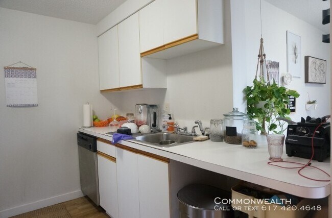 Foto del edificio - Somerville 1 bedroom No Fee Avail 8/1