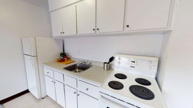 Interior Photo - 255 Stewart Street
