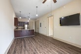 Located at 79 Commerce St, Unit 210 in the heart of downtown Montgomery, Alabama, this one-bedroom, one-bathroom unit offers a practical and well-appointed living space across a single floor. The kitchen serves as a focal point, showcasing rich dark mahogany cabinetry, light granite-style countertops, a peninsula with an integrated sink, and a full suite of stainless steel appliances including a refrigerator, electric range, microwave, and dishwasher. Pendant lighting and wood-style plank flooring complete the kitchen's polished, modern aesthetic. The spacious bedroom features plush wall-to-wall carpeting, a ceiling fan with light fixture, and a window that allows natural light to filter in. A dedicated closet provides convenient storage. The full bathroom is finished with large-format tile flooring, a tiled tub-surround, a dark vanity with a granite-topped sink, and chrome fixtures, offering a clean and functional design. The unit is complemented by access to an outdoor area with a railed terrace offering panoramic views of the Montgomery downtown skyline, including prominent commercial buildings. The overall ambiance is modern and urban, making it well-suited for those seeking a convenient location in the city center.