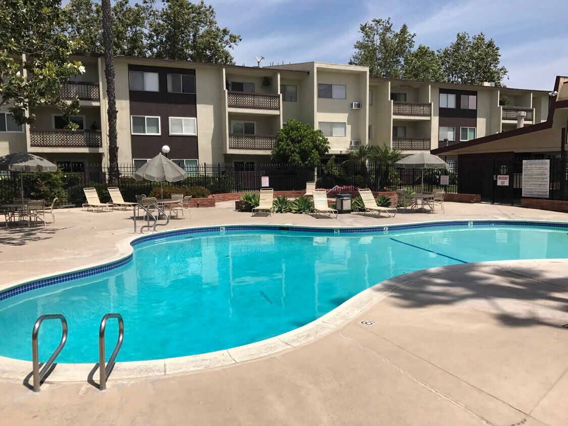 Piscina primaria - 12200 Montecito Rd