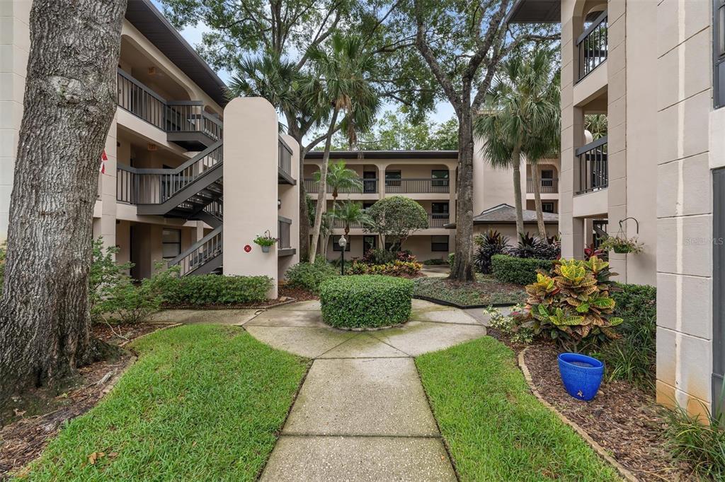 3399 Mermoor Dr Unit 101, Palm Harbor, FL 34685 Condo for Rent in