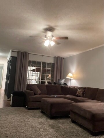 Foto del edificio - 1209 E Austin St