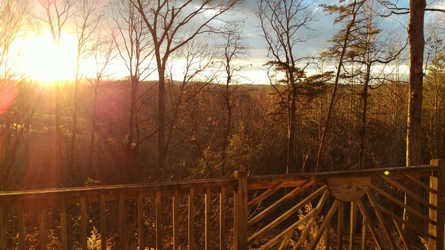 Photo - 1136 Pink Mountain Blvd House