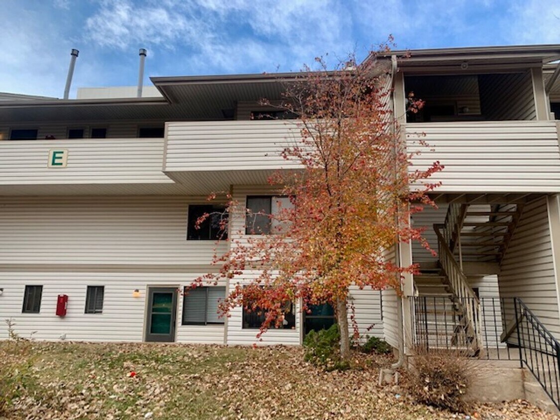 Primary Photo - 1 bed/1 bath apartment close to CSU, bike ...