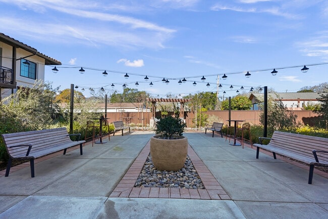 Building Photo - Siesta Senior Apartments