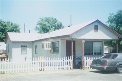 Primary Photo - Camellia