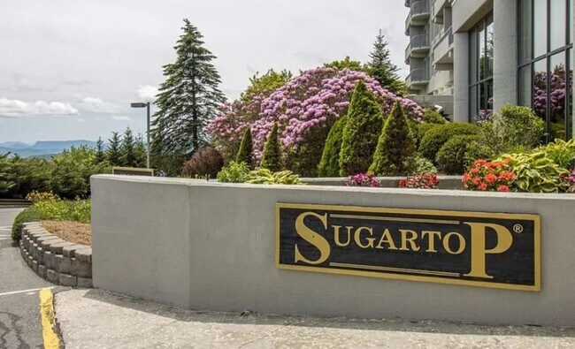 Foto del edificio - 303 Sugar Top Dr