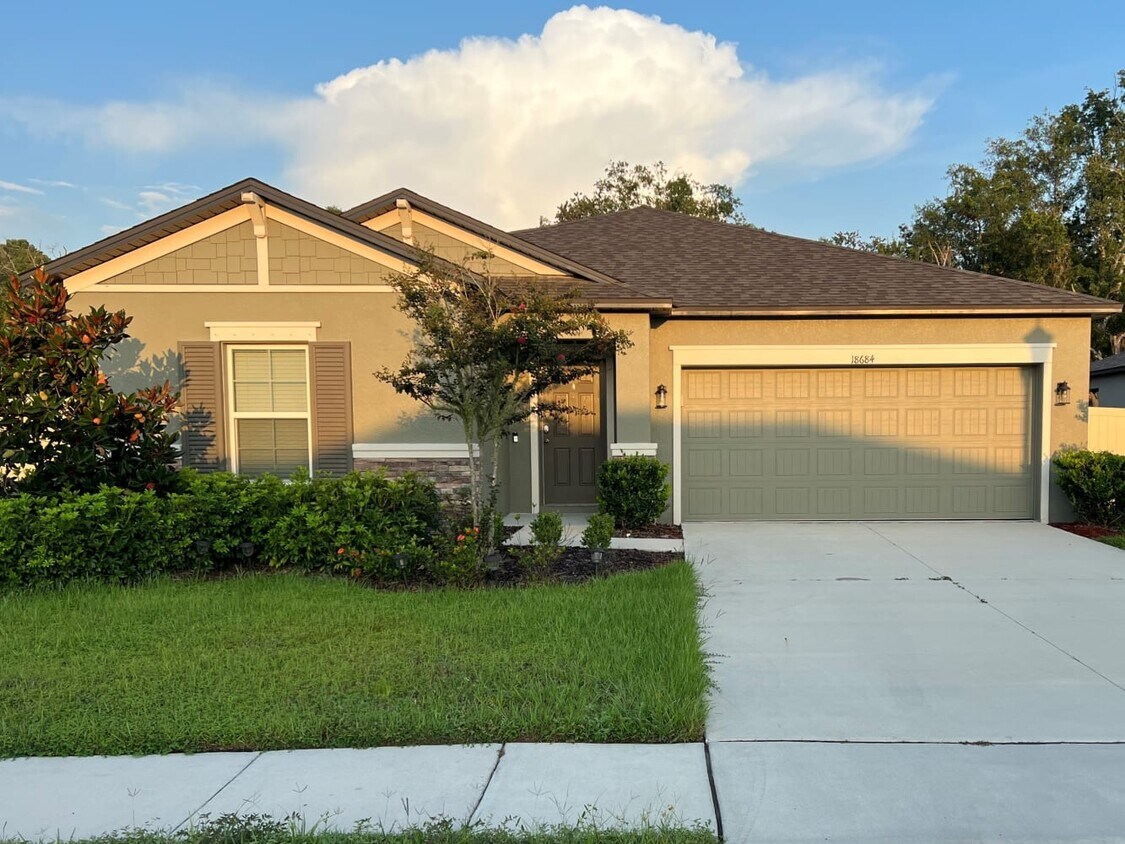 18684 Alfaro Loop House Rental in Spring Hill, FL