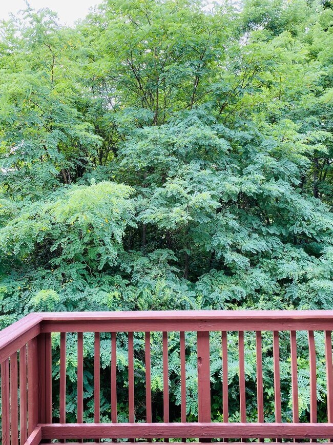 Foto del edificio - 3 bed/2bath Townhome freshly painted!