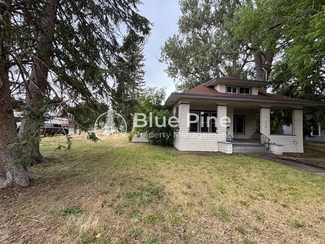 Building Photo - 284 S Ridge Ave