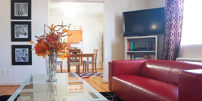 Living Area - Oak Ridge Apartments