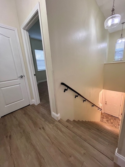 Foto del edificio - 12307 Lantana Park Ln