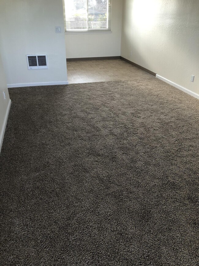 Foto del edificio - 310 Maple St