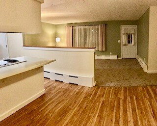 Open Living Space - 9126 Fireweed Ln