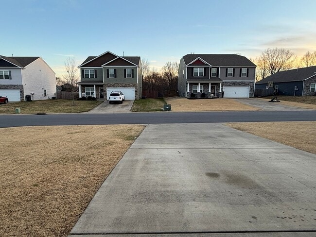 Building Photo - Beautiful 4 bedroom 2.5 bath home located in the Cliffs subdivision!