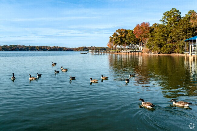 Lake Wylie near Tega Cay offers scenic views and abundant wildlife.
