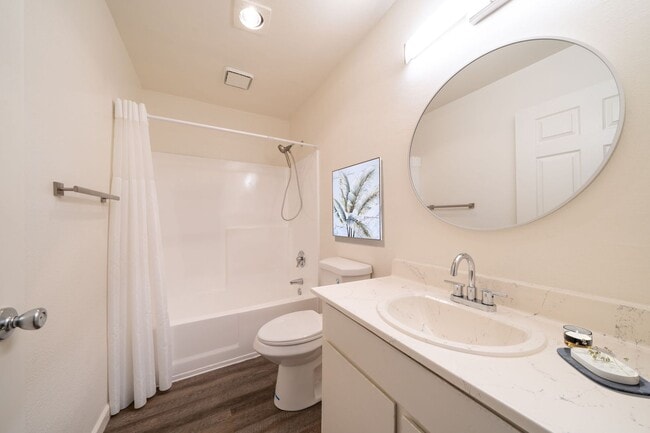 Interior Photo - Oasis Del Sol