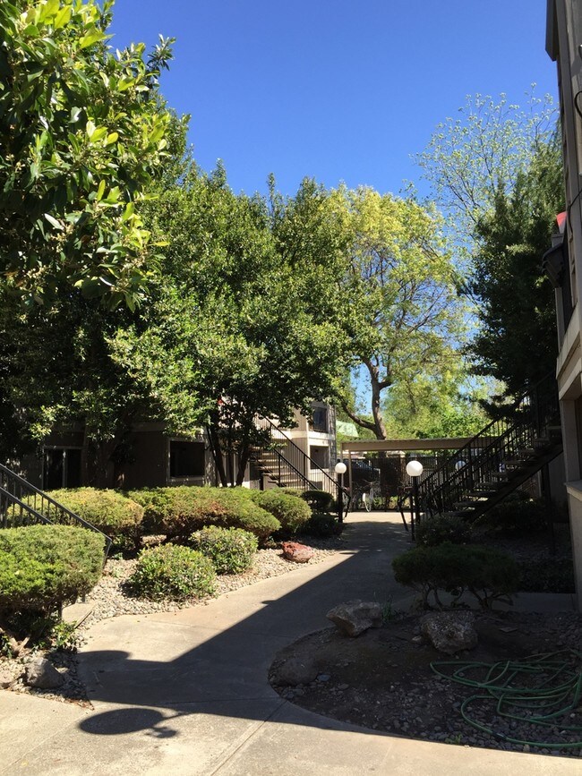 Foto del edificio - 1412 N Cherry St