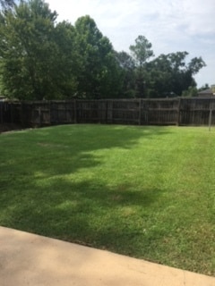 Back Yard - 227 Woodsong Drive