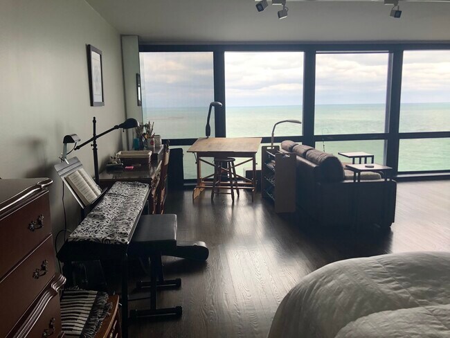 Foto del edificio - 900 N Lake Shore Dr
