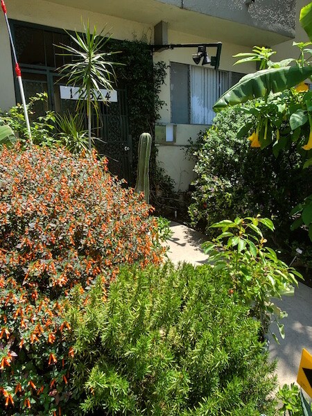 Foto del edificio - 12524 Culver Blvd