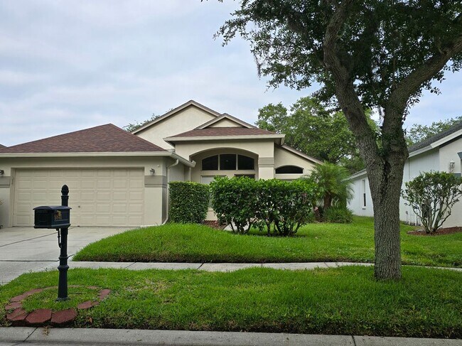 Foto del edificio - 9841 Bayboro Bridge Dr