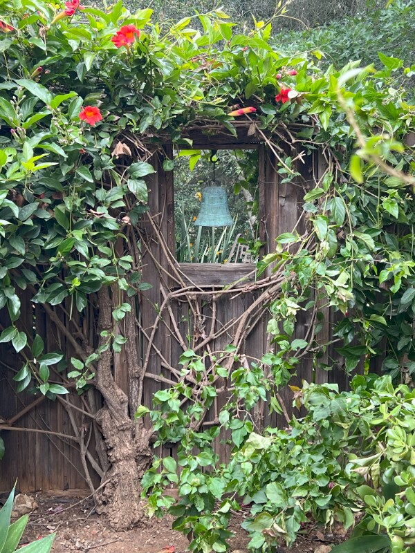 Primary Photo - 20402 Elfin Forest Rd