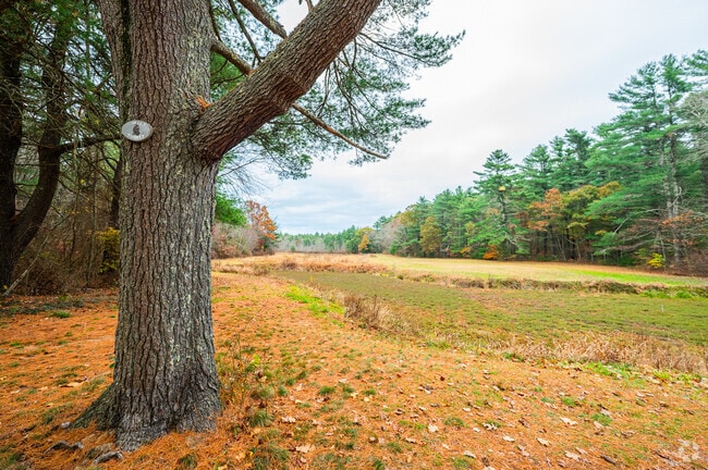Massasoit State Park in Taunton hosts turkey & deer hunting during specific months of the year.