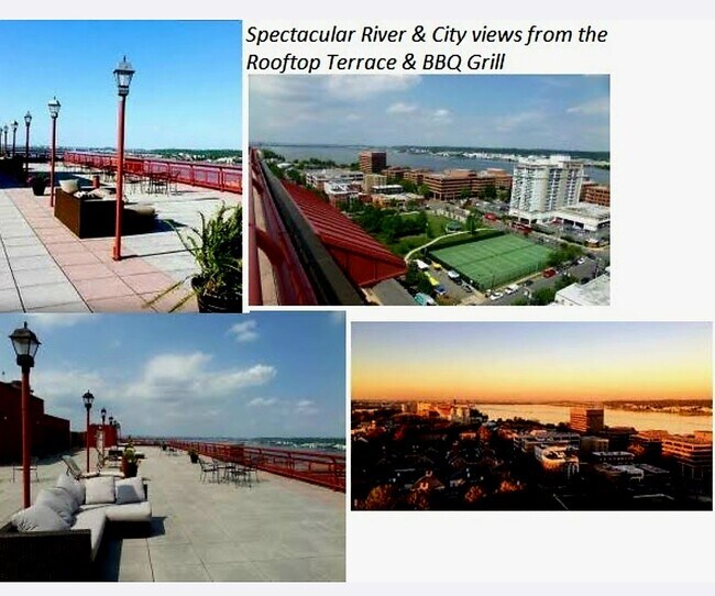 Rooftop view, tennis courts, parks (doggie park), surrounding neighborhood - 801 N Pitt St