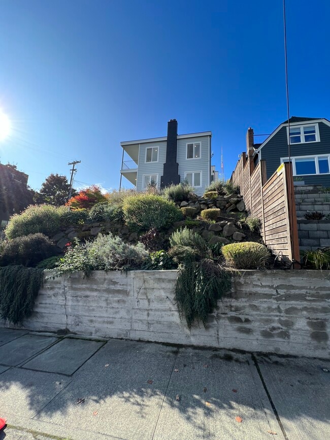 Jardines diseñados por profesionales - 522 Lee St