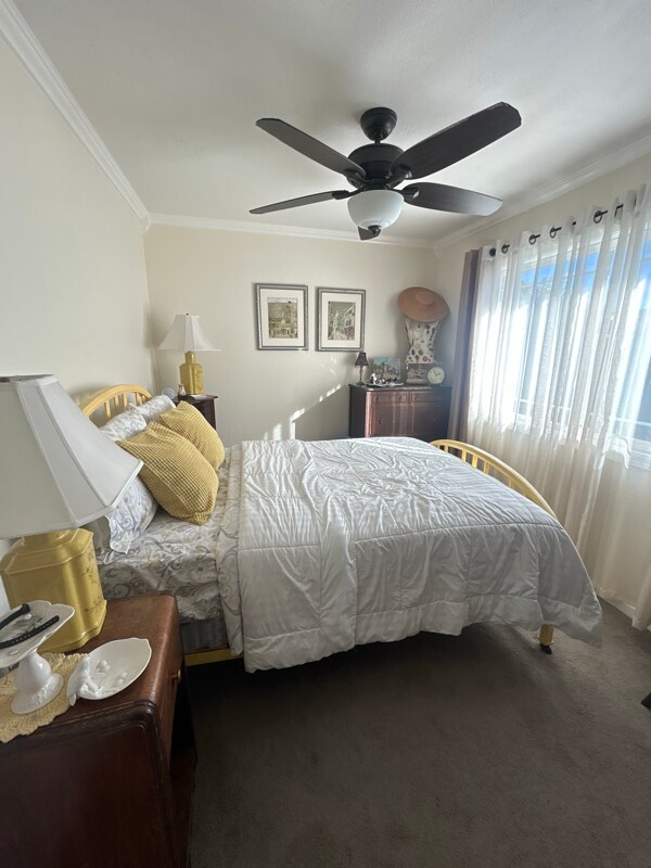 Foto del edificio - 1550 Bluebonnet Way