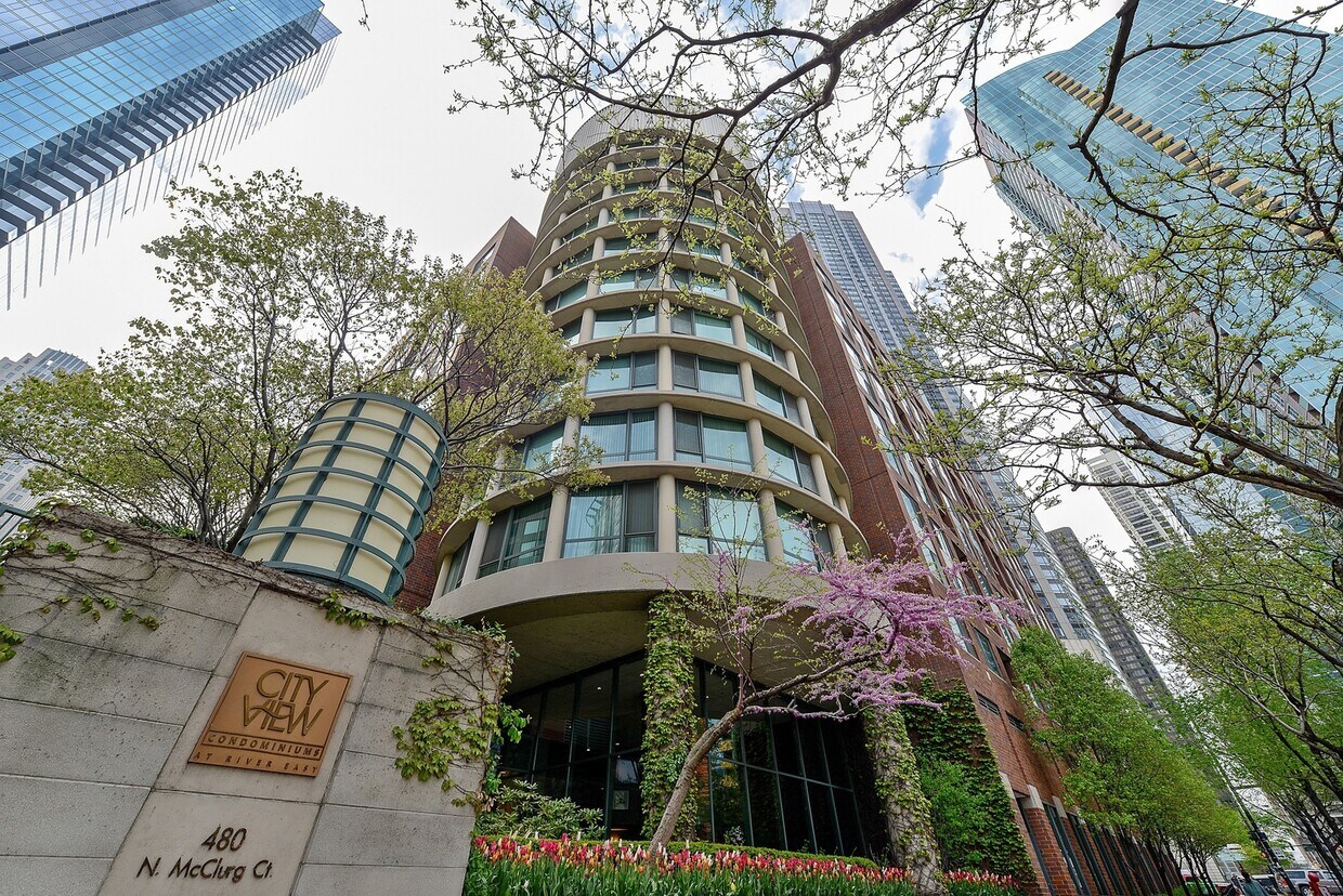 480 N McClurg Ct Unit 1106, Chicago, IL 60611 Condo for Rent in