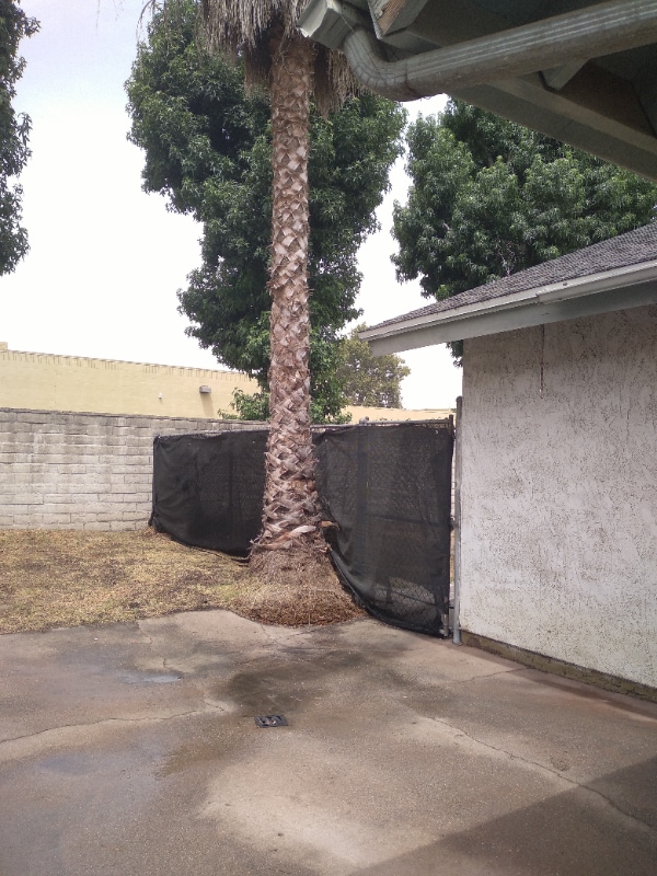 Foto del edificio - 12864 Raintree Ct