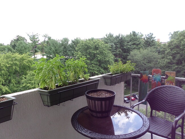 Building Photo - 2939 Van Ness St NW