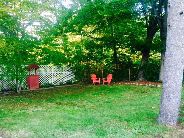Backyard - 39 Sunnyside Ave