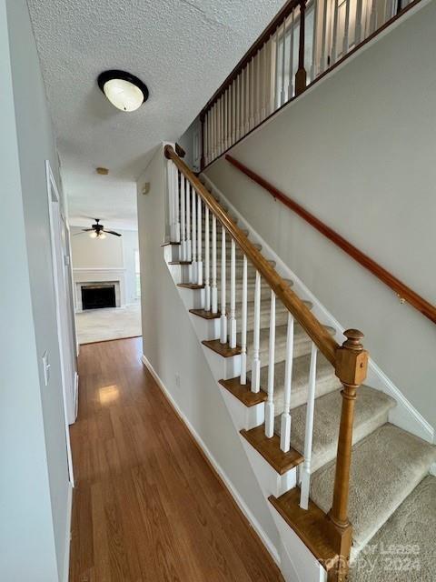 Building Photo - 8817 Elkins Park Dr