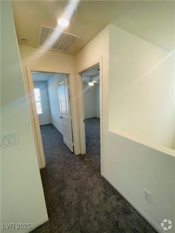 Building Photo - 3203 Segesta Ave