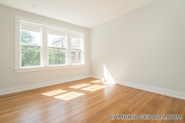 Building Photo - 19 Forest St