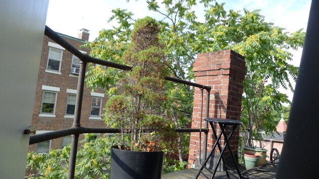 Foto del edificio - 247 Newbury St