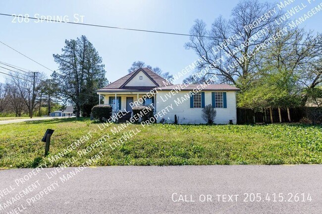 Foto del edificio - 208 Spring St