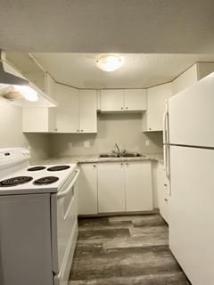Photo du bâtiment - Cozy 2-Bedroom Lower Unit in Central Locat...